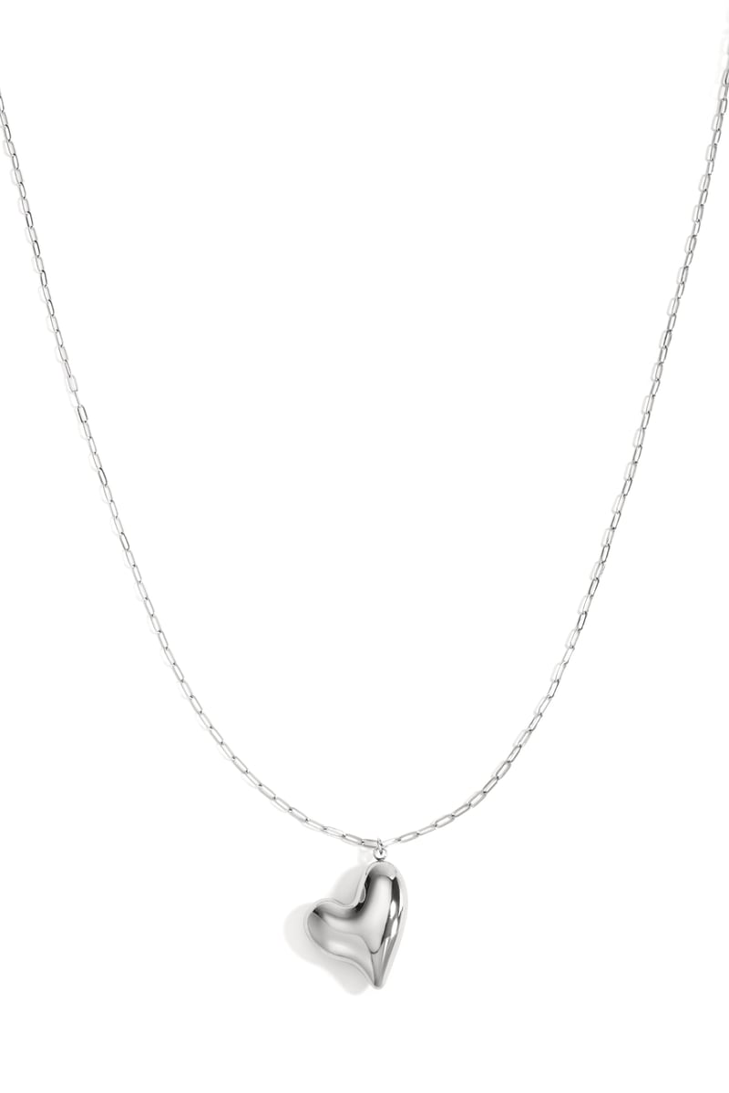 Stainless Steel Long Necklaces Heart Casual Daily Simple Series Women's jewelry - SevanaMode